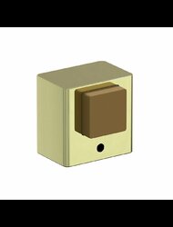 DS-1