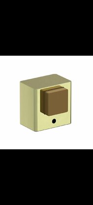 DS-1