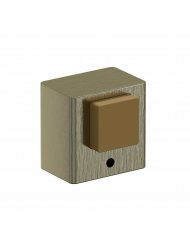 DS-1
