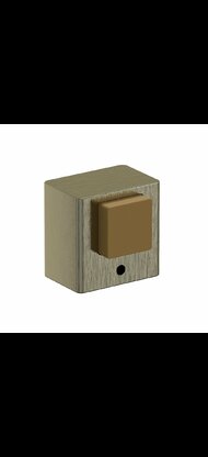 DS-1