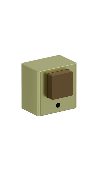 DS-1