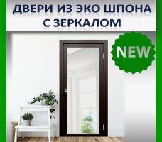 Двери с зеркалом за 7 дней!